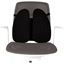 Picture of Στήριγμα πλάτης Fellowes Back Angel 8026401