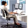 Picture of Fellowes Sit-Stand Workstation Lotus™ Dual Monitor Arm Kit 8042901