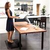 Picture of Fellowes Sit-Stand Workstation Lotus™ RT Dual Bk 8081801