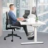 Picture of Στήριγμα πλάτης Fellowes Breyta™ Comfort Back Cushion 100119852
