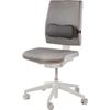 Picture of Στήριγμα μέσης Fellowes Breyta™ Lumbar Cushion 100119853